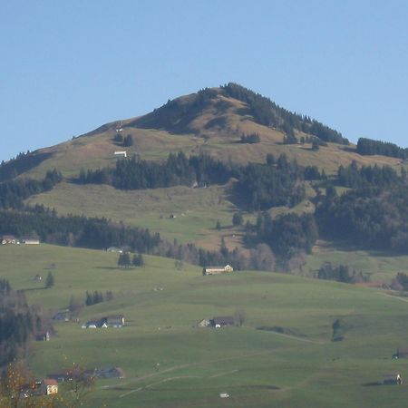 Studio-Ferienwohnung Hans Faessler Appenzell Ngoại thất bức ảnh